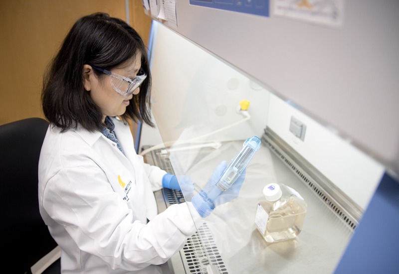 Female researcher working in a cell culture hood