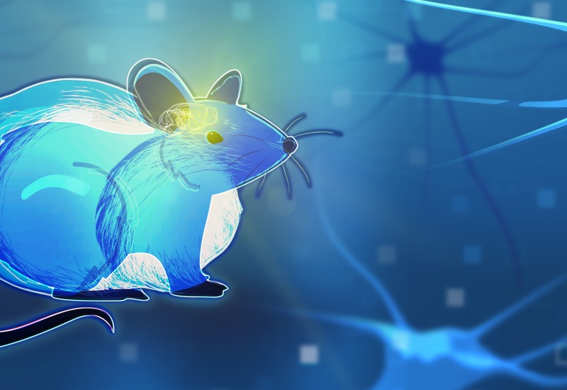 Illustration of a mouse with neurons in the background