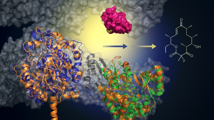 Dense Bacterial Populations Create Mutant Breeding Grounds for Antibiotic  Resistance | College of Natural Sciences